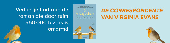 De Correspondente Verschenen Ppsmall 545X140
